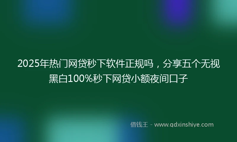 2025年热门网贷秒下软件正规吗，分享五个无视黑白100%秒下网贷小额夜间口子