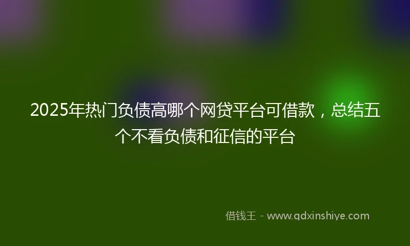 2025年热门负债高哪个网贷平台可借款，总结五个不看负债和征信的平台