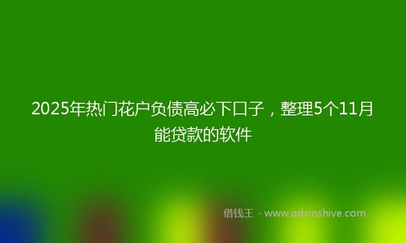 2025年热门花户负债高必下口子，整理5个11月能贷款的软件