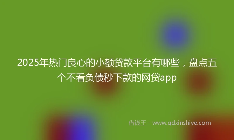 2025年热门良心的小额贷款平台有哪些，盘点五个不看负债秒下款的网贷app