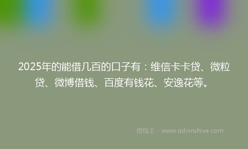 2025年的能借几百的口子有：维信卡卡贷、微粒贷、微博借钱、百度有钱花、安逸花等。
