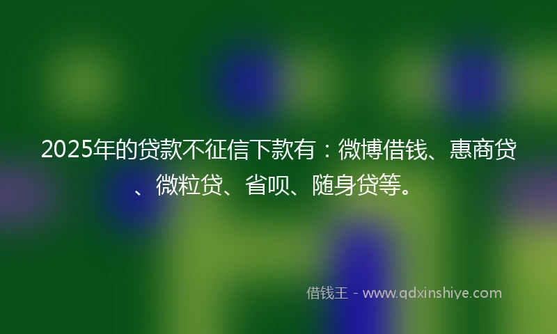 2025年的贷款不征信下款有：微博借钱、惠商贷、微粒贷、省呗、随身贷等。