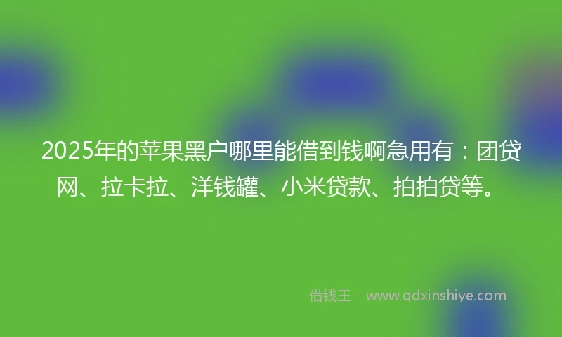 2025年的苹果黑户哪里能借到钱啊急用有:团贷网、拉卡拉、洋钱罐、小米贷款、拍拍贷等。