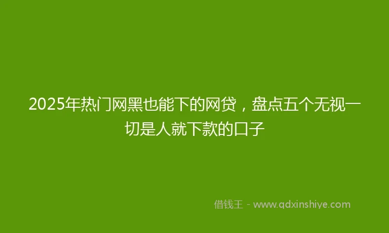 2025年热门网黑也能下的网贷，盘点五个无视一切是人就下款的口子