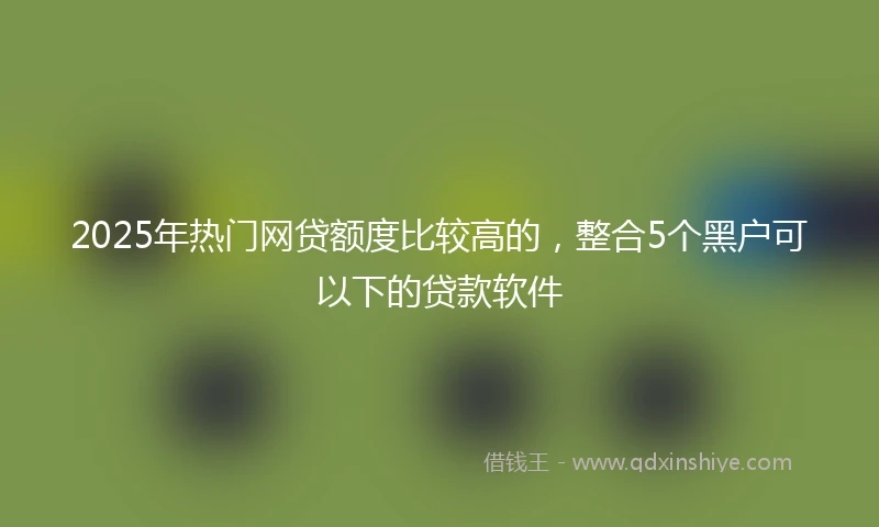 2025年热门网贷额度比较高的，整合5个黑户可以下的贷款软件