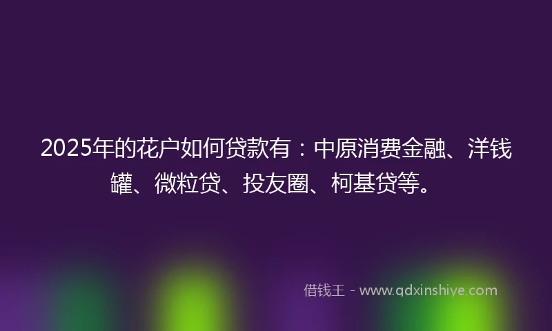 2025年的花户如何贷款有：中原消费金融、洋钱罐、微粒贷、投友圈、柯基贷等。