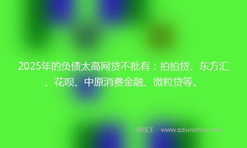 2025年的负债太高网贷不批有：拍拍贷、东方汇、花呗、中原消费金融、微粒贷等。