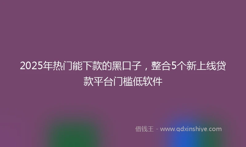 2025年热门能下款的黑口子，整合5个新上线贷款平台门槛低软件