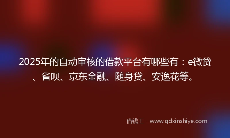 2025年的自动审核的借款平台有哪些有：e微贷、省呗、京东金融、随身贷、安逸花等。