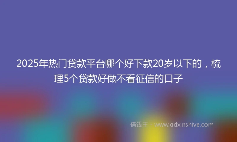 2025年热门贷款平台哪个好下款20岁以下的，梳理5个贷款好做不看征信的口子