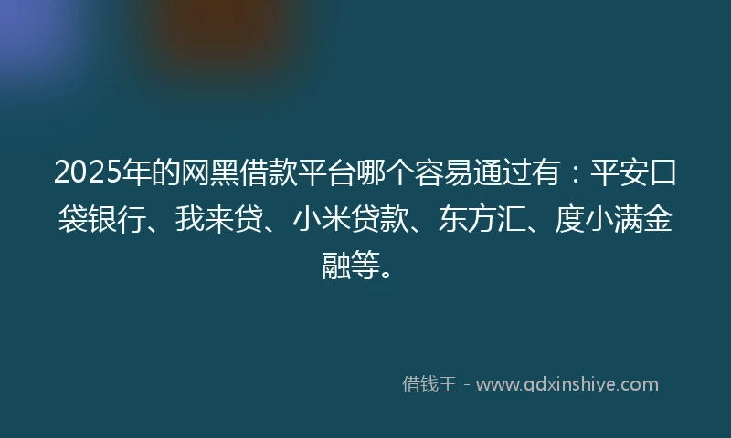 2025年的网黑借款平台哪个容易通过有：平安口袋银行、我来贷、小米贷款、东方汇、度小满金融等。