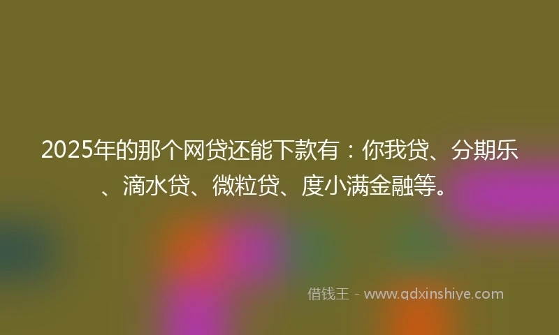 2025年的那个网贷还能下款有：你我贷、分期乐、滴水贷、微粒贷、度小满金融等。