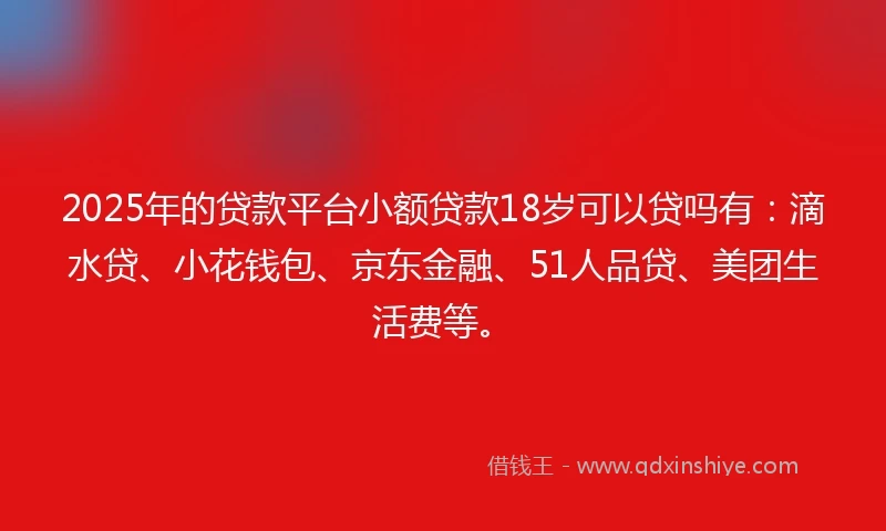 2025年的贷款平台小额贷款18岁可以贷吗有：滴水贷、小花钱包、京东金融、51人品贷、美团生活费等。