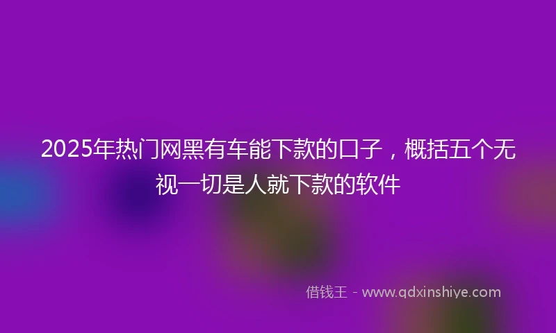2025年热门网黑有车能下款的口子，概括五个无视一切是人就下款的软件