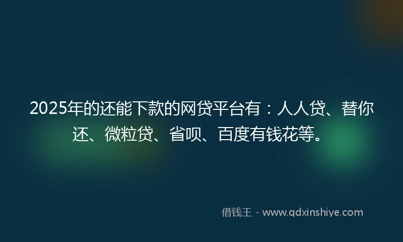 2025年的还能下款的网贷平台有：人人贷、替你还、微粒贷、省呗、百度有钱花等。