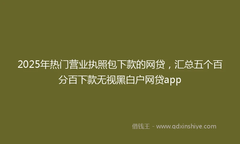 2025年热门营业执照包下款的网贷，汇总五个百分百下款无视黑白户网贷app