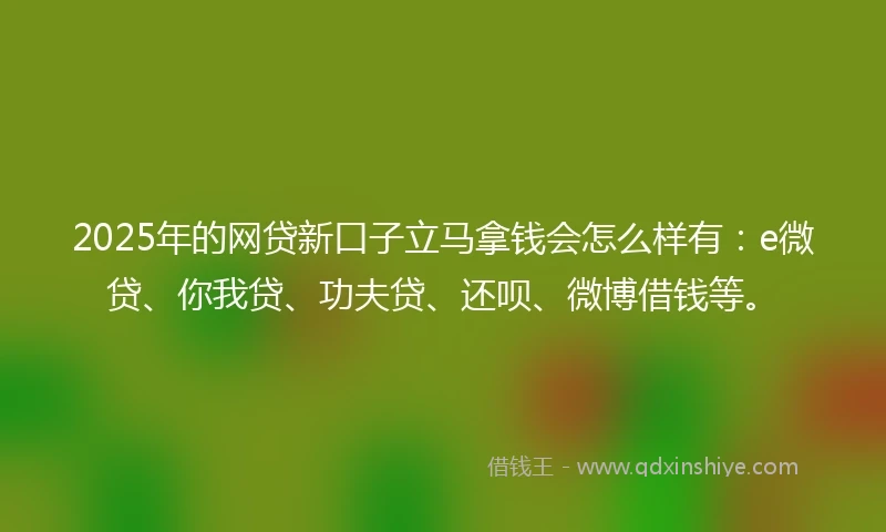 2025年的网贷新口子立马拿钱会怎么样有：e微贷、你我贷、功夫贷、还呗、微博借钱等。