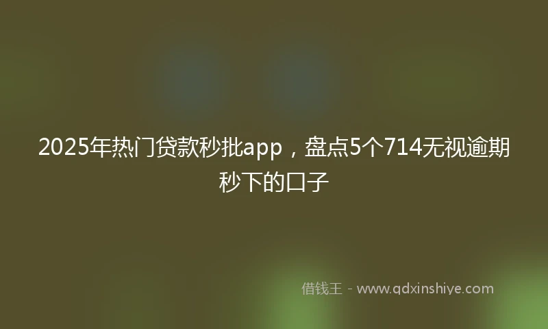 2025年热门贷款秒批app，盘点5个714无视逾期秒下的口子