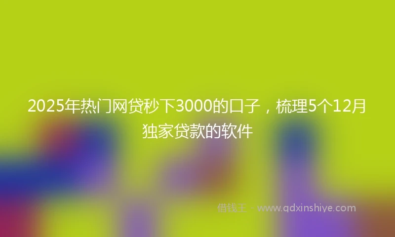 2025年热门网贷秒下3000的口子，梳理5个12月独家贷款的软件