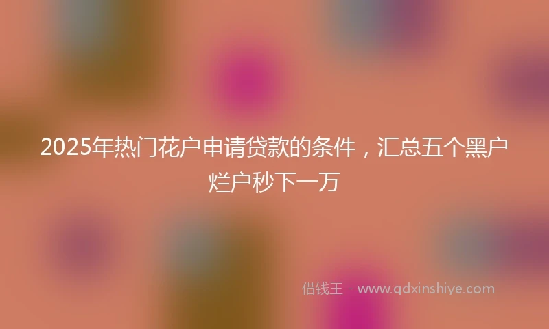 2025年热门花户申请贷款的条件，汇总五个黑户烂户秒下一万