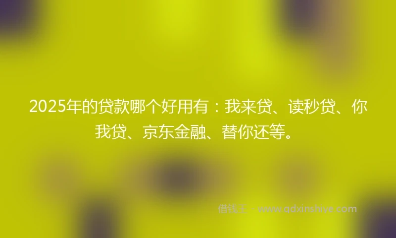 2025年的贷款哪个好用有：我来贷、读秒贷、你我贷、京东金融、替你还等。
