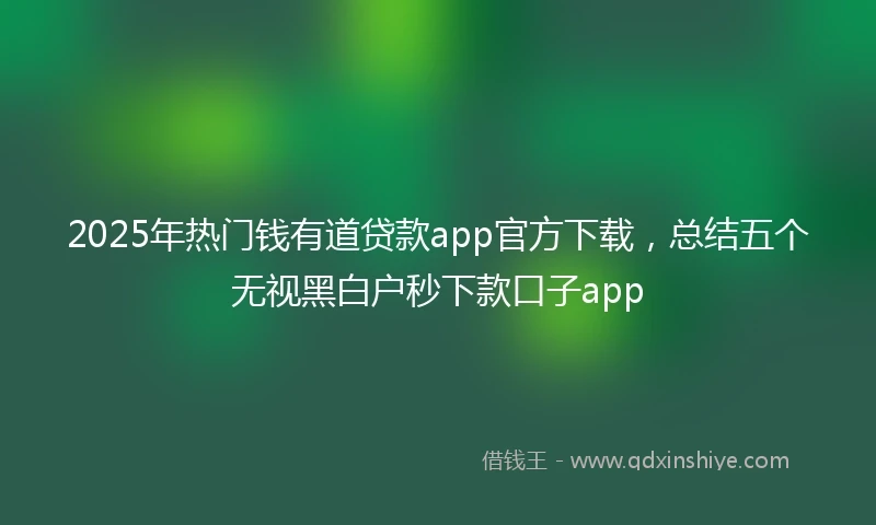 2025年热门钱有道贷款app官方下载，总结五个无视黑白户秒下款口子app