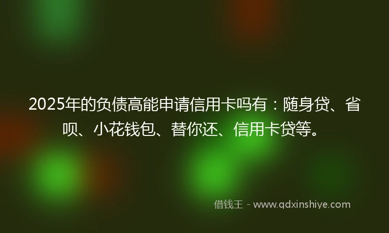 2025年的负债高能申请信用卡吗有：随身贷、省呗、小花钱包、替你还、信用卡贷等。