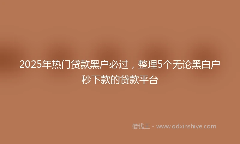 2025年热门贷款黑户必过，整理5个无论黑白户秒下款的贷款平台