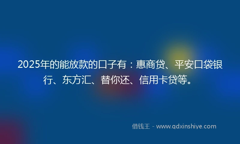 2025年的能放款的口子有：惠商贷、平安口袋银行、东方汇、替你还、信用卡贷等。