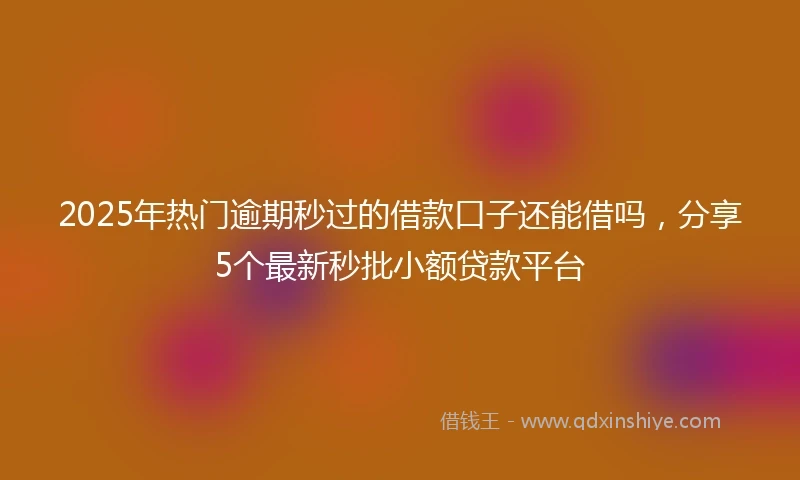 2025年热门逾期秒过的借款口子还能借吗，分享5个最新秒批小额贷款平台