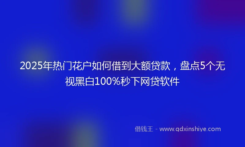 2025年热门花户如何借到大额贷款，盘点5个无视黑白100%秒下网贷软件