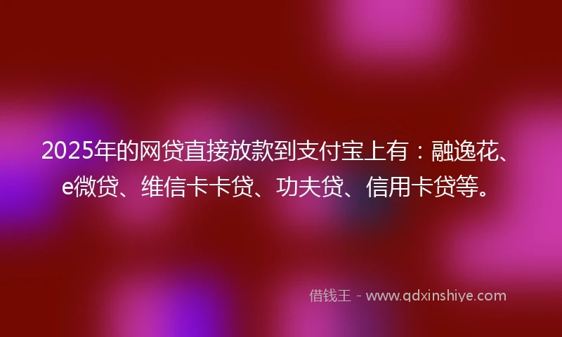 2025年的网贷直接放款到支付宝上有：融逸花、e微贷、维信卡卡贷、功夫贷、信用卡贷等。