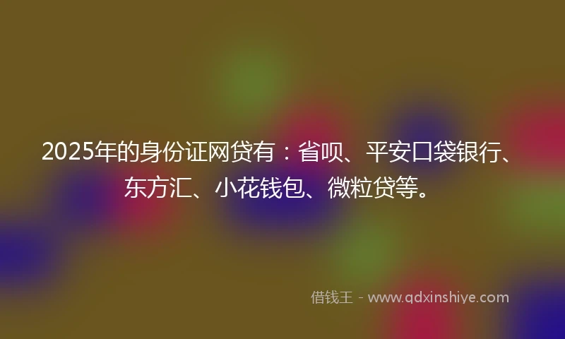 2025年的身份证网贷有：省呗、平安口袋银行、东方汇、小花钱包、微粒贷等。