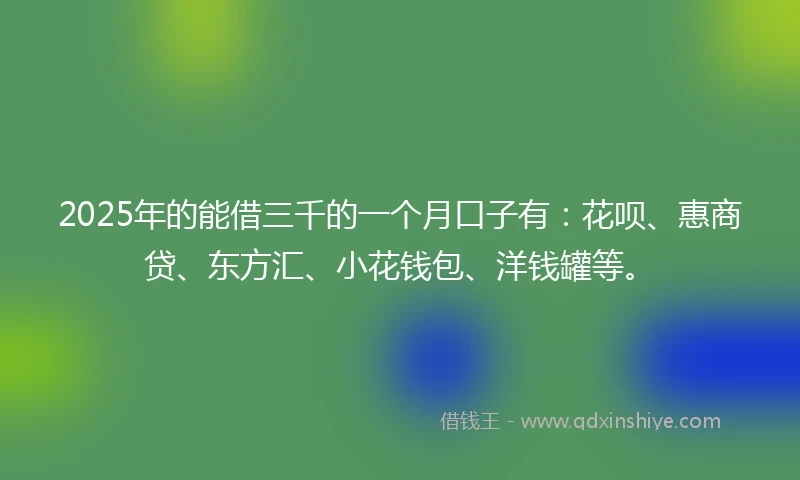 2025年的能借三千的一个月口子有：花呗、惠商贷、东方汇、小花钱包、洋钱罐等。