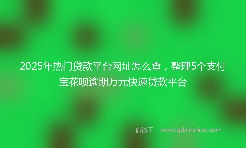 2025年热门贷款平台网址怎么查，整理5个支付宝花呗逾期万元快速贷款平台