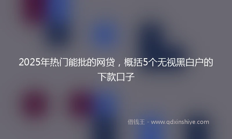 2025年热门能批的网贷，概括5个无视黑白户的下款口子