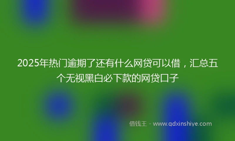 2025年热门逾期了还有什么网贷可以借，汇总五个无视黑白必下款的网贷口子