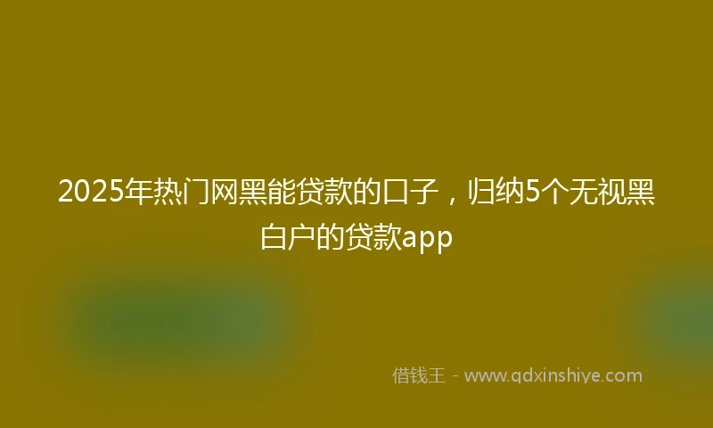 2025年热门网黑能贷款的口子，归纳5个无视黑白户的贷款app