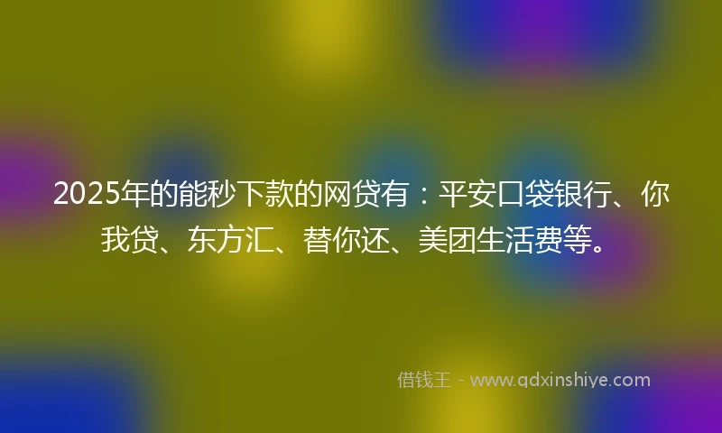 2025年的能秒下款的网贷有：平安口袋银行、你我贷、东方汇、替你还、美团生活费等。