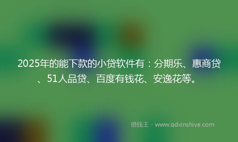 2025年的能下款的小贷软件有：分期乐、惠商贷、51人品贷、百度有钱花、安逸花等。