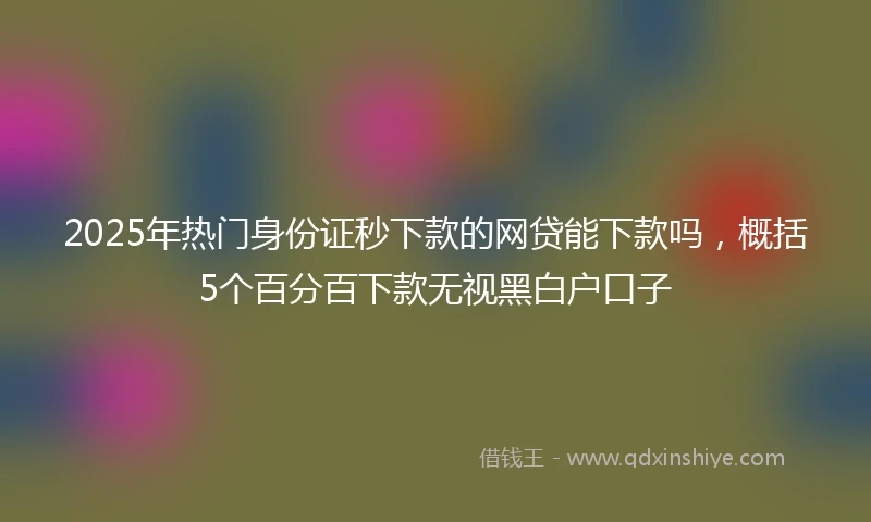 2025年热门身份证秒下款的网贷能下款吗，概括5个百分百下款无视黑白户口子