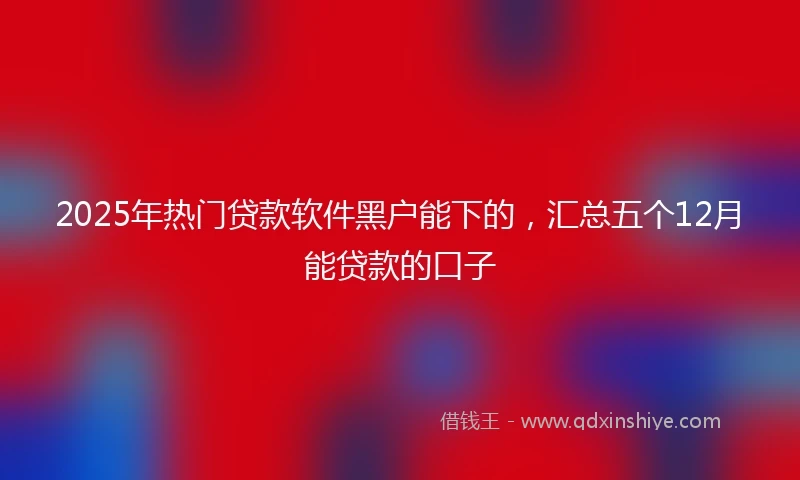 2025年热门贷款软件黑户能下的，汇总五个12月能贷款的口子