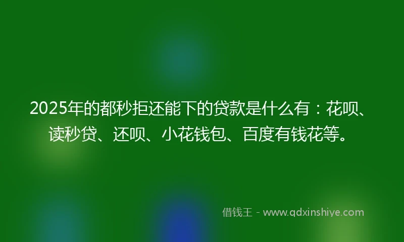 2025年的都秒拒还能下的贷款是什么有：花呗、读秒贷、还呗、小花钱包、百度有钱花等。