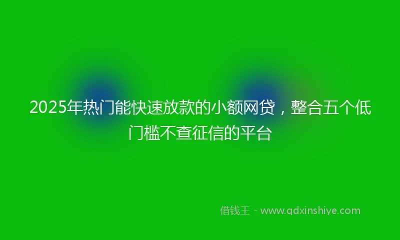 2025年热门能快速放款的小额网贷，整合五个低门槛不查征信的平台
