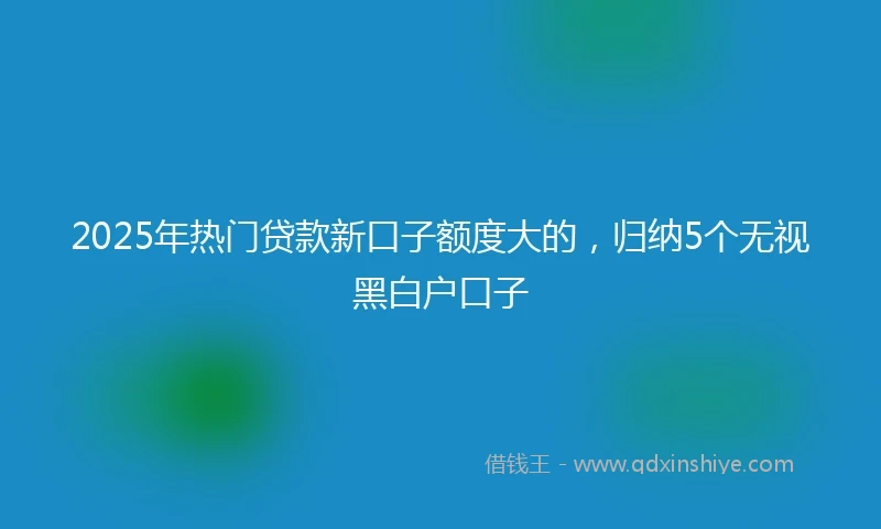 2025年热门贷款新口子额度大的，归纳5个无视黑白户口子