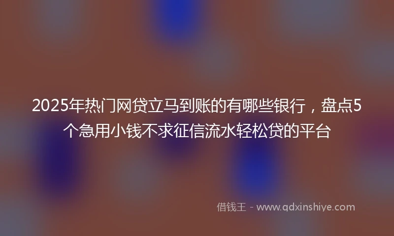 2025年热门网贷立马到账的有哪些银行，盘点5个急用小钱不求征信流水轻松贷的平台