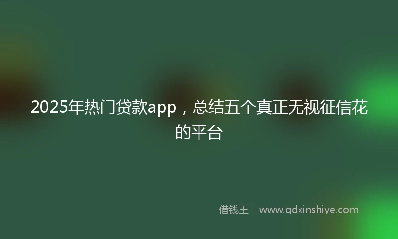 2025年热门贷款app，总结五个真正无视征信花的平台