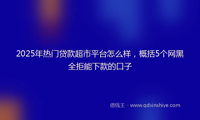 2025年热门贷款超市平台怎么样，概括5个网黑全拒能下款的口子
