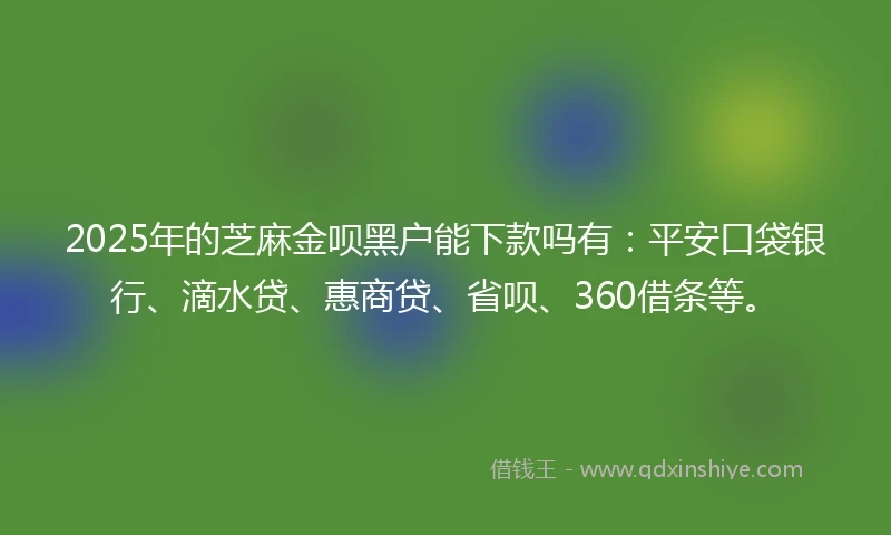 2025年的芝麻金呗黑户能下款吗有：平安口袋银行、滴水贷、惠商贷、省呗、360借条等。