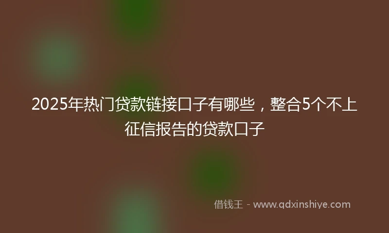 2025年热门贷款链接口子有哪些，整合5个不上征信报告的贷款口子